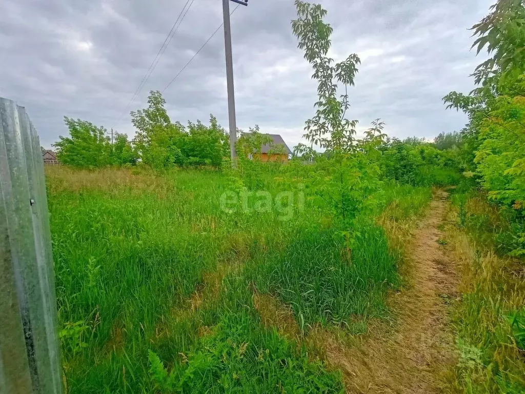 участок в башкортостан, гафурийский район, красноусольский сельсовет, . - Фото 1