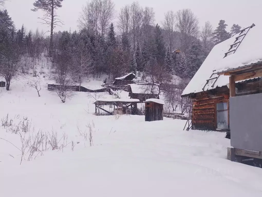 Участок в Алтай, Турочакский район, с. Артыбаш Кедровая ул. (20.0 ... - Фото 0