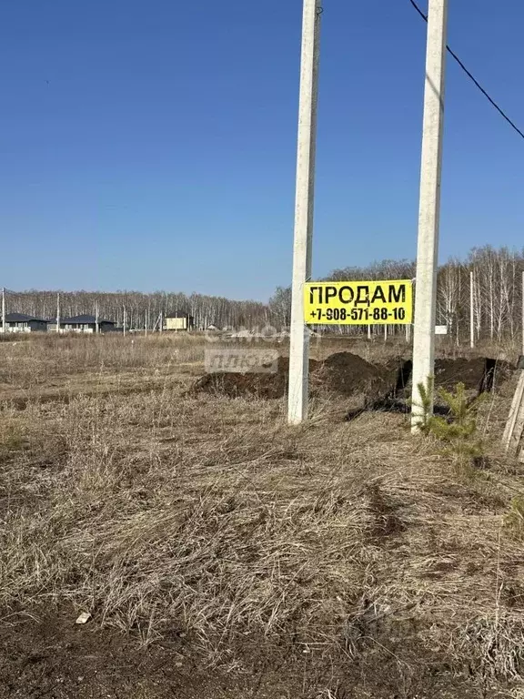 Участок в Челябинская область, Сосновский муниципальный округ, ... - Фото 2