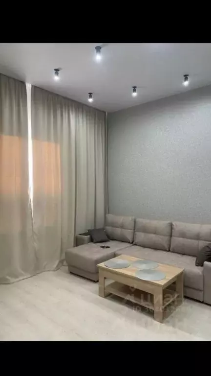 1-к кв. Ленинградская область, Гатчинский муниципальный округ, д. ... - Фото 2