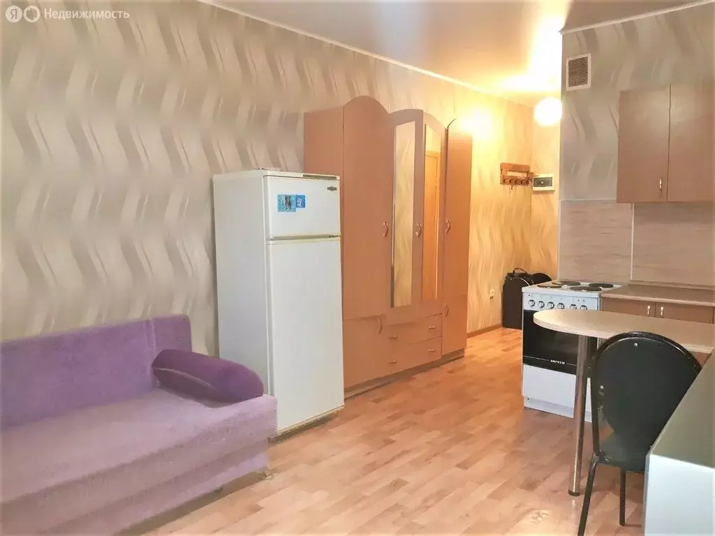 Квартира-студия: село Засечное, Олимпийская улица, 2 (28 м) - Фото 2