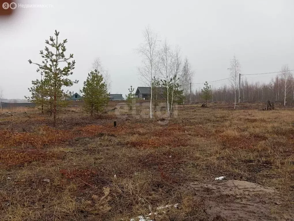 Участок в село Хвощеватка, Васильковая улица (1036 м) - Фото 1