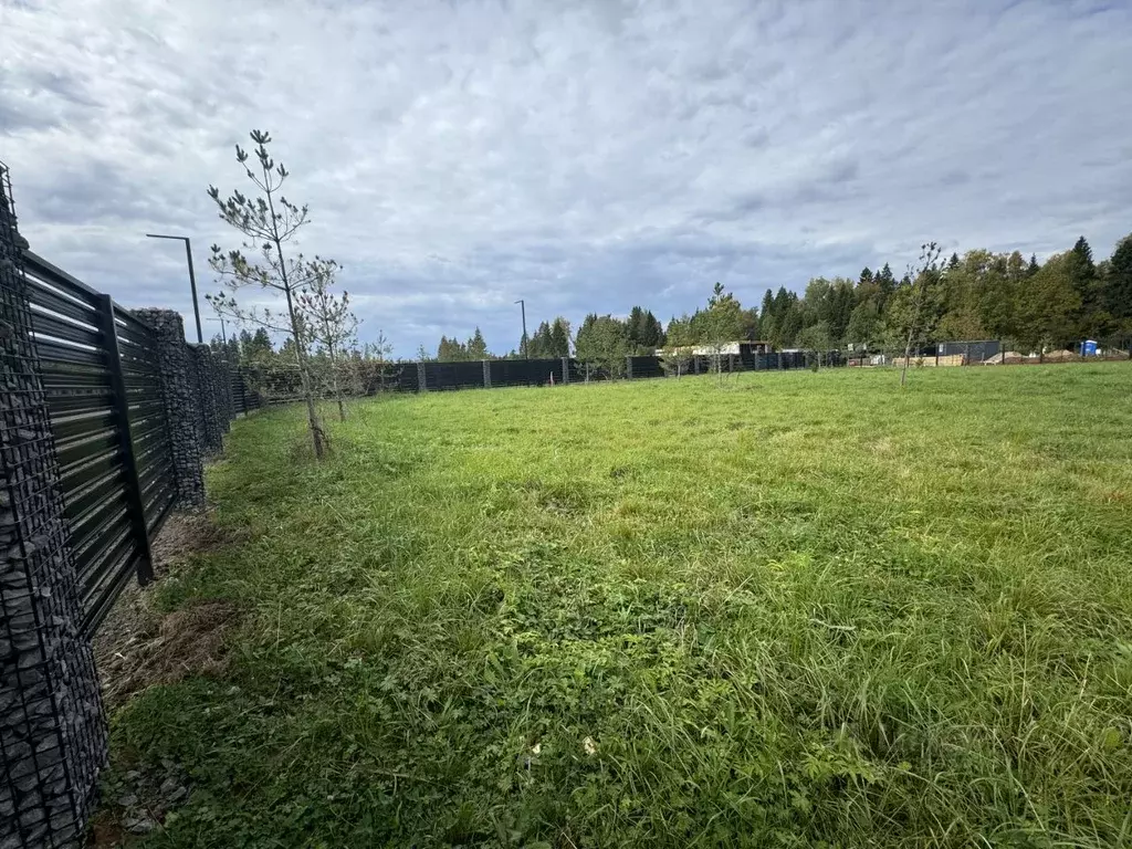 Участок в Московская область, Клин городской округ, Ели Эстейт ... - Фото 1