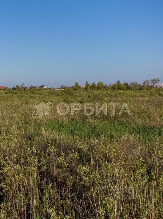 Участок в Тюменская область, Тюмень Береговая ул. (10.0 сот.) - Фото 1