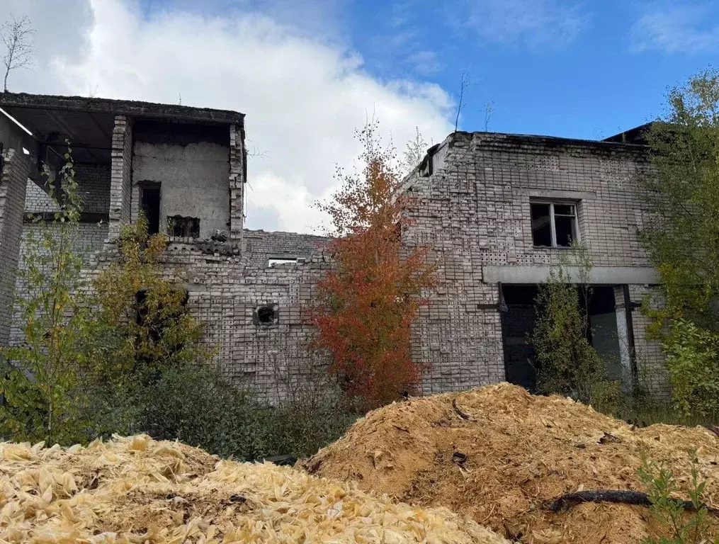 Помещение свободного назначения в Карелия, Пудож Пудожский район, ... - Фото 1