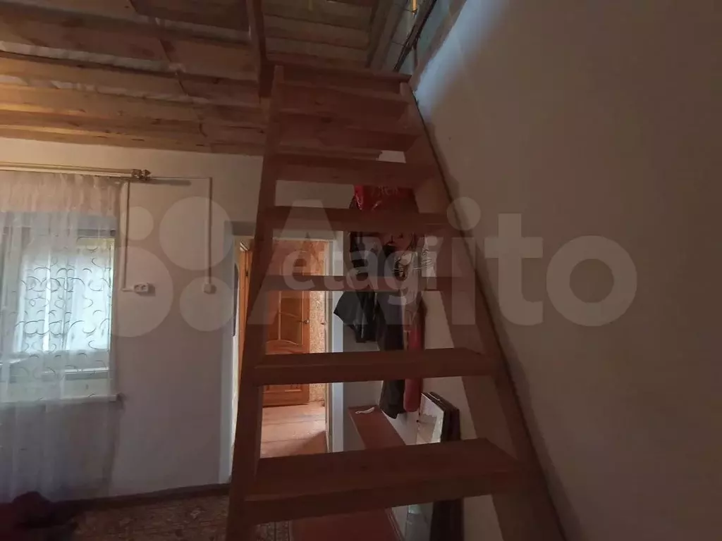 Участок 3 сот. (СНТ, ДНП) - Фото 1