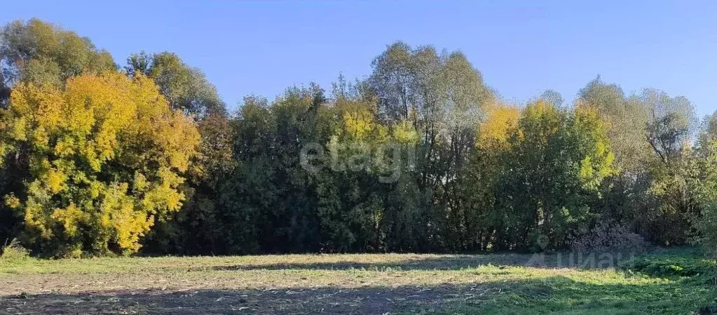 Участок в Татарстан, Высокогорский район, с. Усады Зеленая ул. (10.9 ... - Фото 2