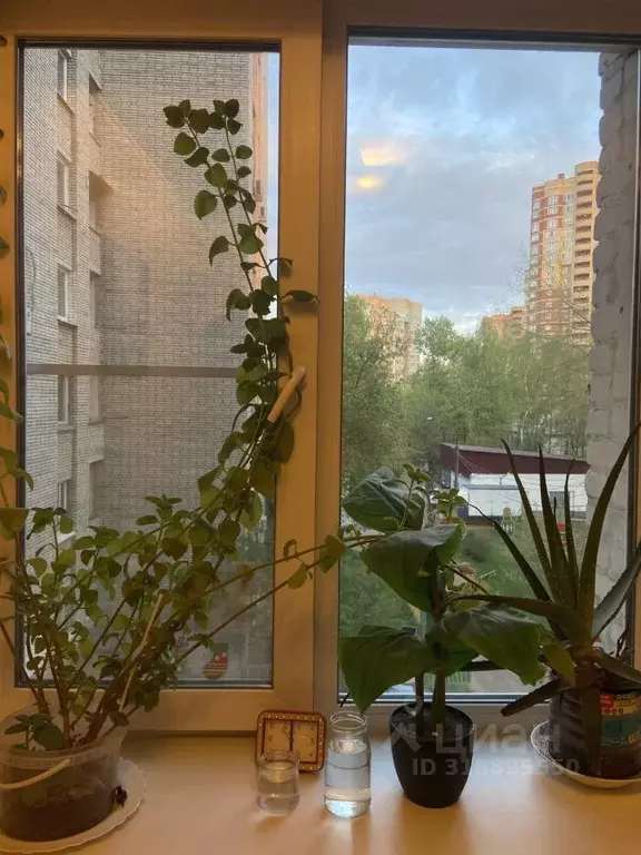 1-к кв. Московская область, Лыткарино Спортивная ул., 13 (33.0 м) - Фото 1