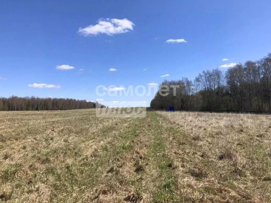 Участок в Московская область, Клин городской округ, д. Воронино  (5.98 ... - Фото 2