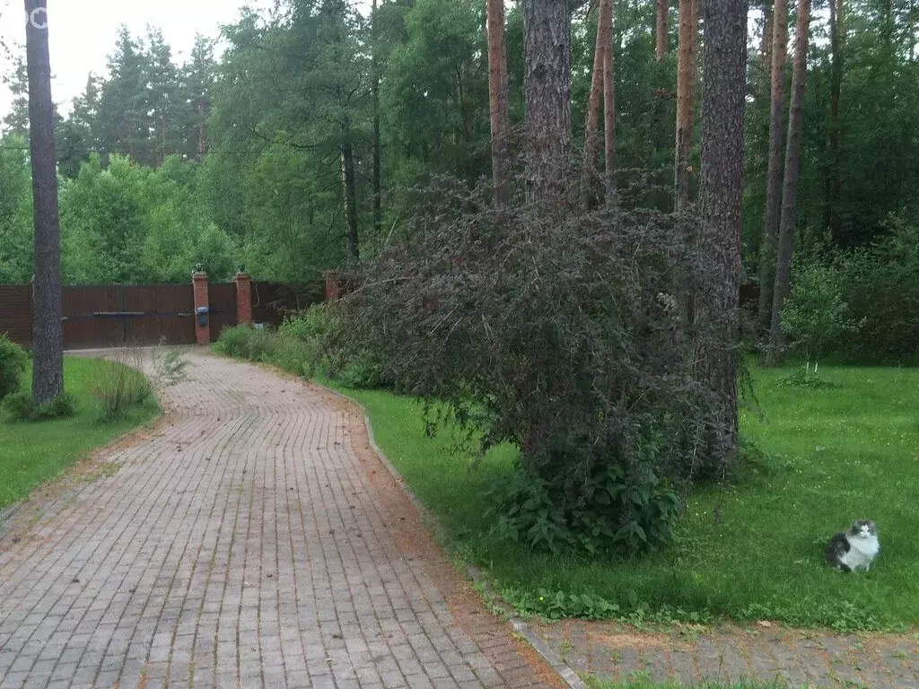 Участок в посёлок Колосково, Лучистая улица, 13 (50 м) - Фото 0