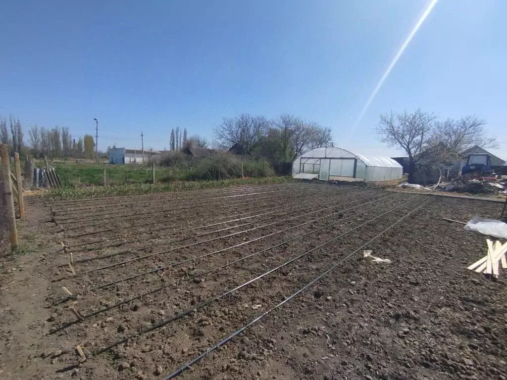 Участок в Крым, Кировский район, Абрикосовское с/пос, с. Бабенково ул. ... - Фото 1