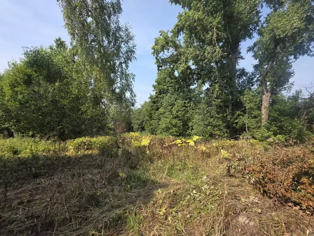 Участок в Московская область, Клин городской округ, д. Нагорное  ... - Фото 1