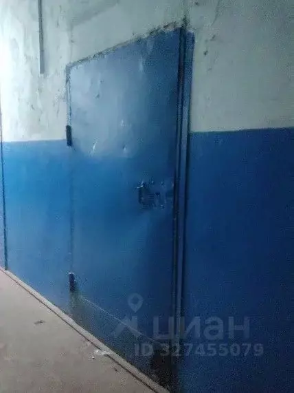 Помещение свободного назначения в Нижегородская область, Заволжье г. ... - Фото 1