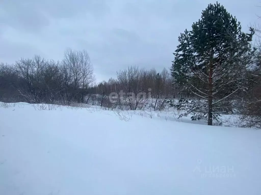 Участок в Алтайский край, Первомайский район, пос. Покровка ул. ... - Фото 0