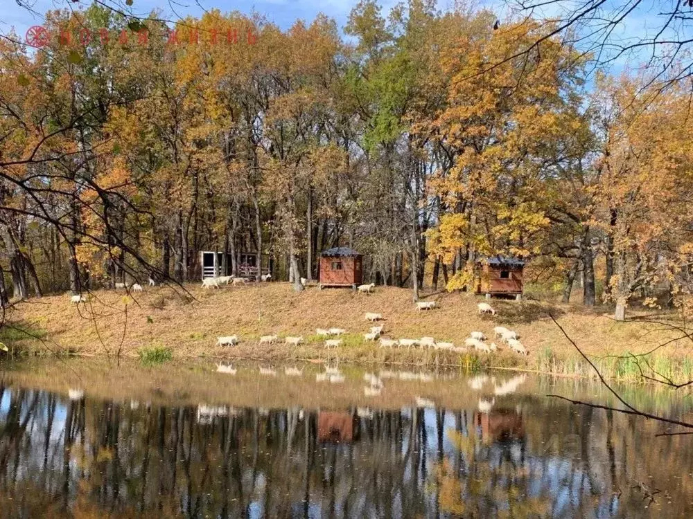 Участок в Самарская область, Самара 78-й Большецаревщинского ... - Фото 0