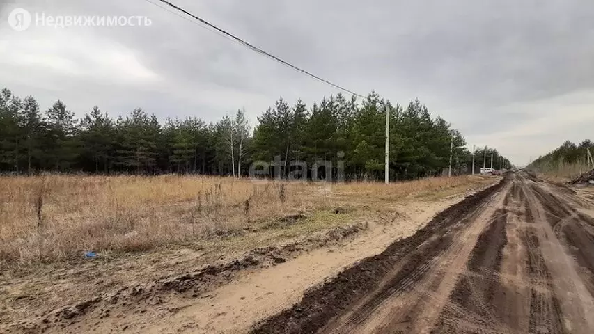 Участок В Медовке Воронеж Купить