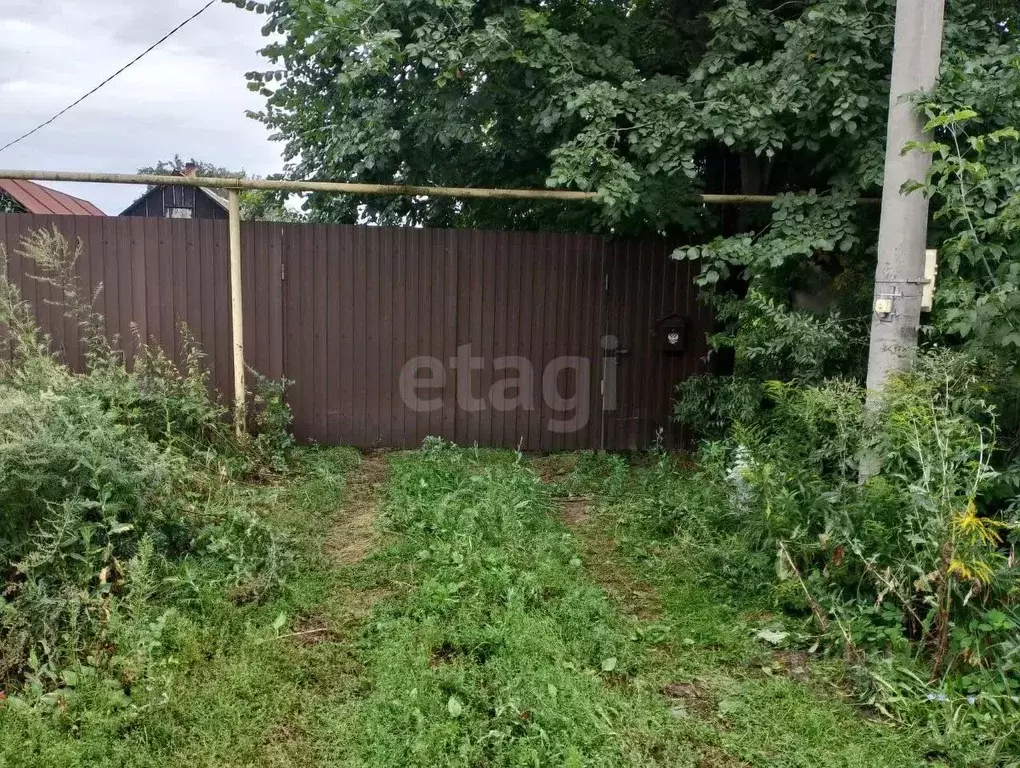 Участок в Воронежская область, Новоусманский район, с. Орлово ул. ... - Фото 1