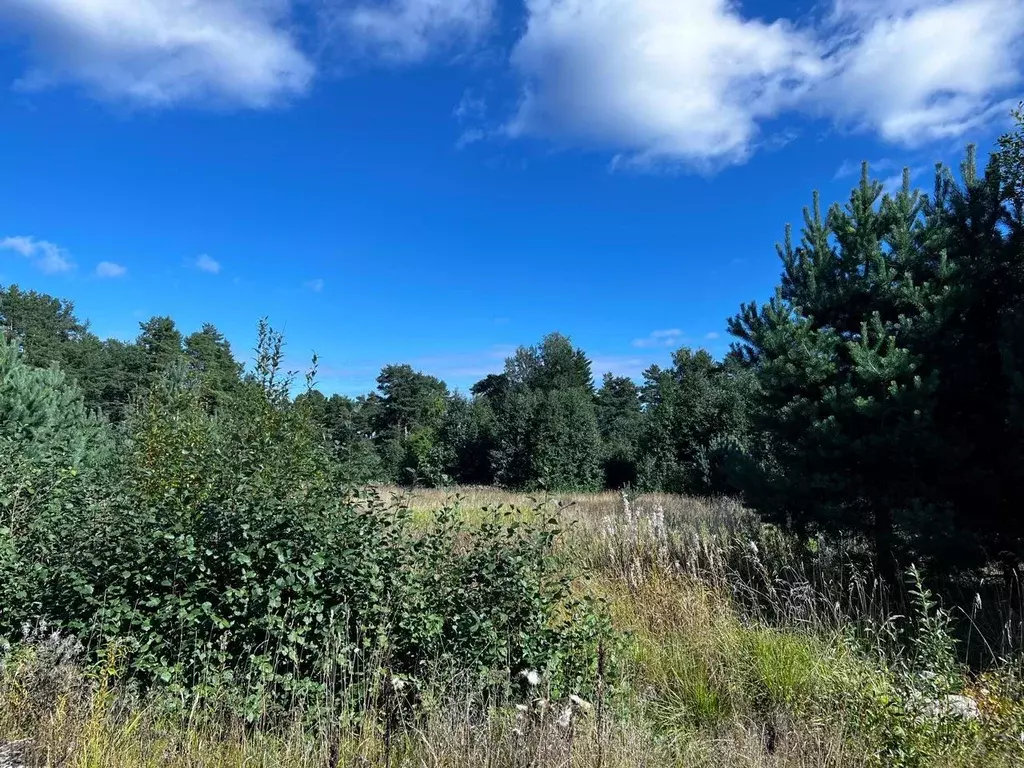 Участок, 1400 сот., фермерское хоз-во - Фото 2