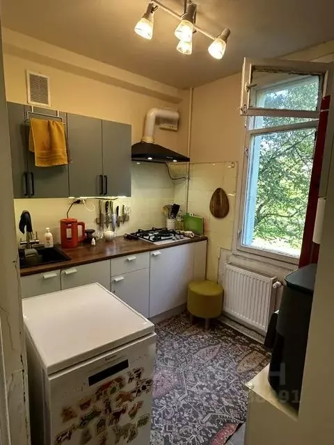 4-к кв. Санкт-Петербург Дачный просп., 5К3 (50.0 м) - Фото 2