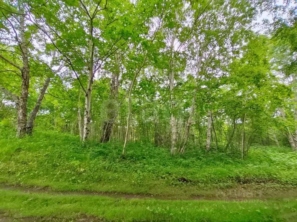 Участок в Камчатский край, Елизовский муниципальный округ, пос. ... - Фото 2
