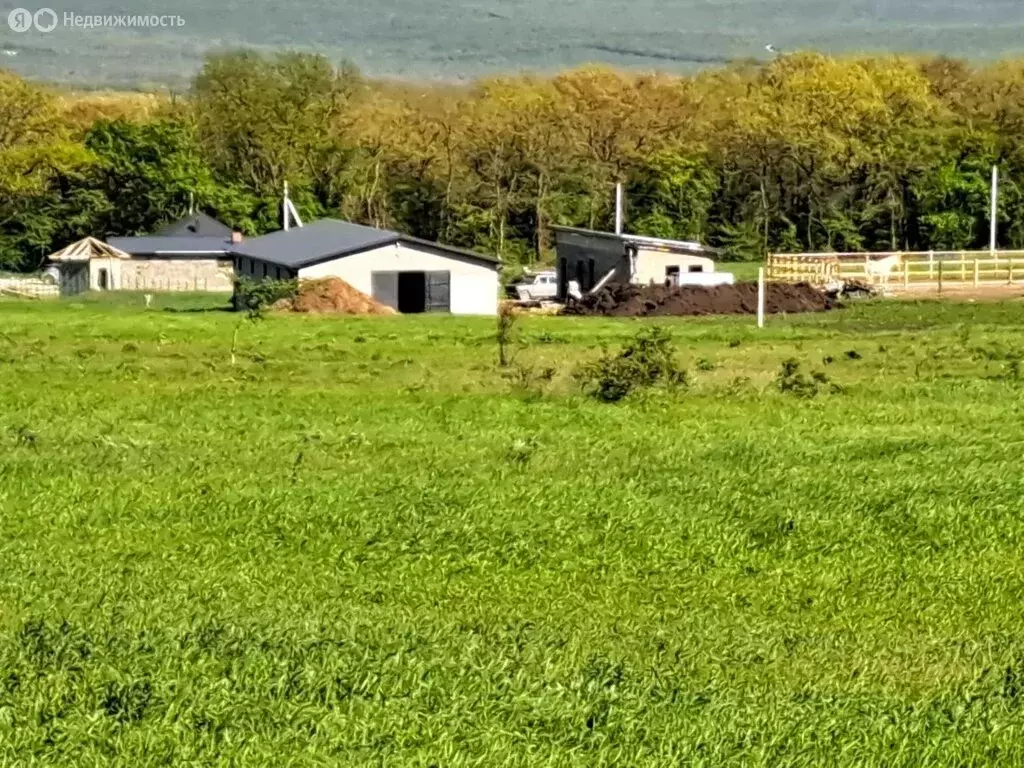 Участок в Краснодарский край, городской округ Новороссийск, хутор ... - Фото 2