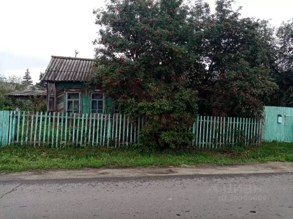 Дом в Курганская область, с. Белозерское ул. Пичугина (35 м) - Фото 0
