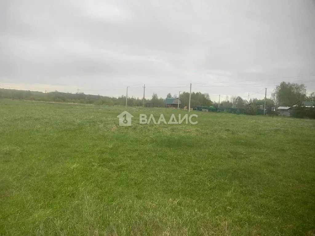 Продается дом в с. Теряево - Фото 2