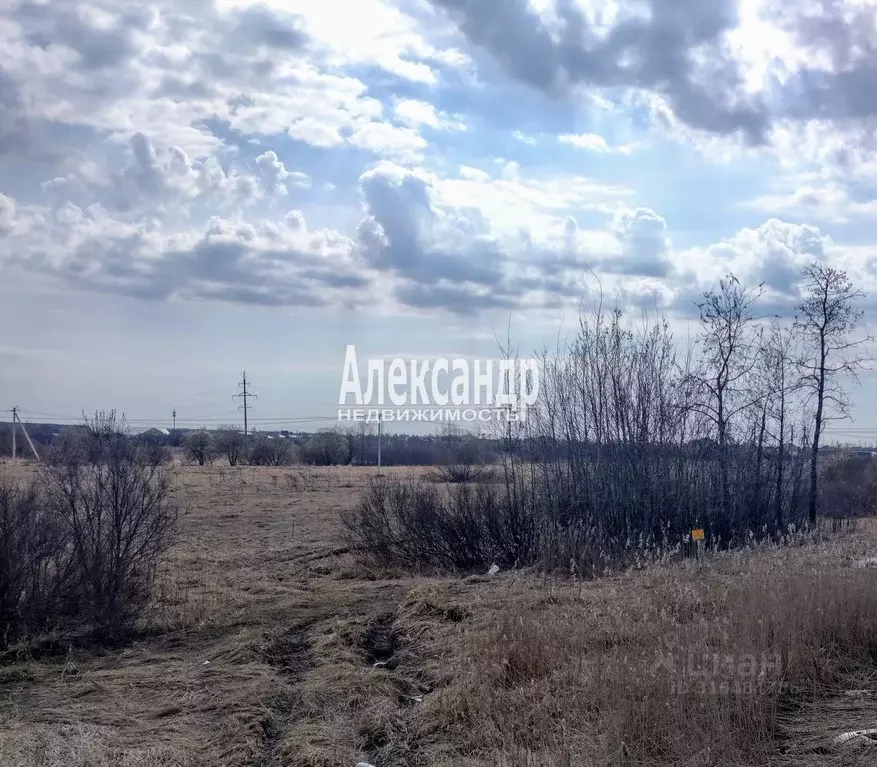 Участок в Санкт-Петербург пос. Шушары, ЮгТаун жилой комплекс (135.71 ... - Фото 1