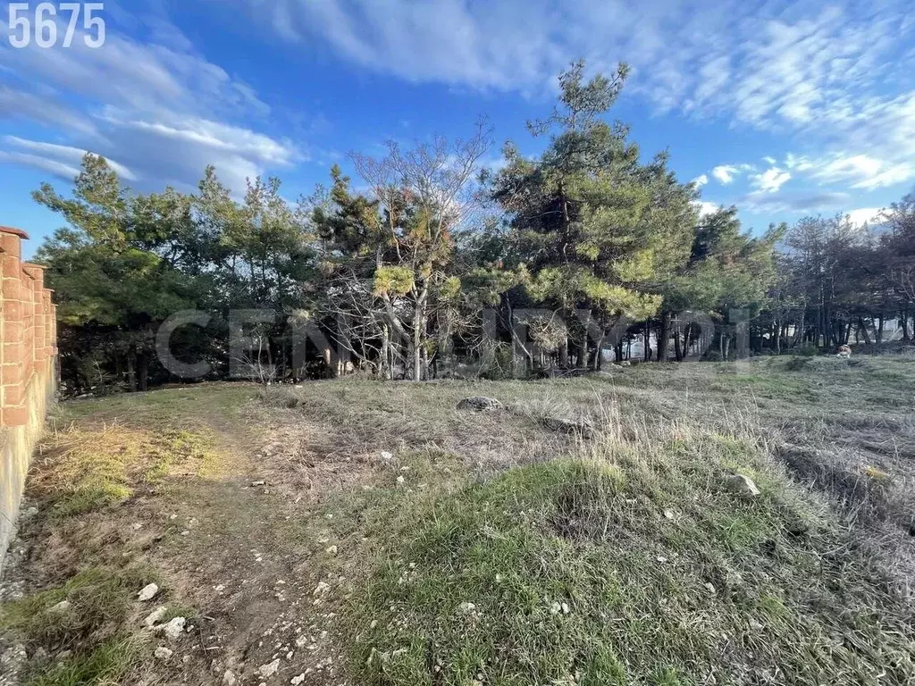 Участок в Севастополь Подводник ПКИЗ, ул. Черемуховая, 75 (7.8 сот.) - Фото 2