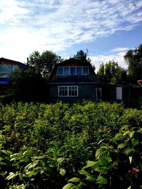 Дом в Колыванский район, СНТ Вертолёт (60 м) - Фото 0