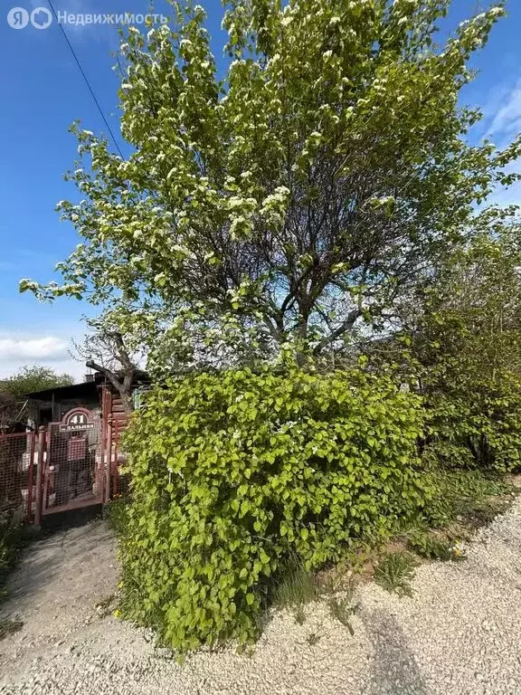 Участок в Тула, Дальняя улица (5.5 м) - Фото 1