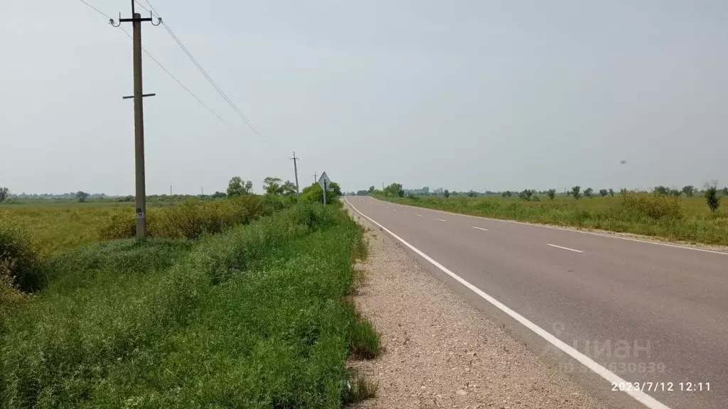 Участок в Амурская область, Благовещенский район, пос. Заречный  (10.0 ... - Фото 1