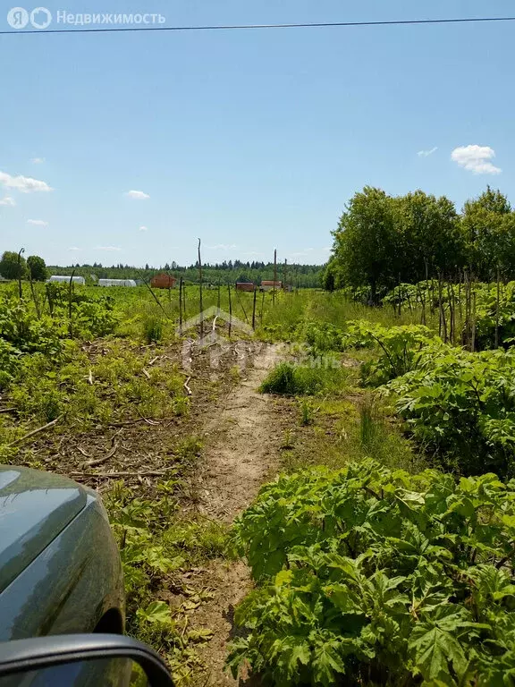 Участок в деревня Большая Вруда, 3 (50 м) - Фото 2