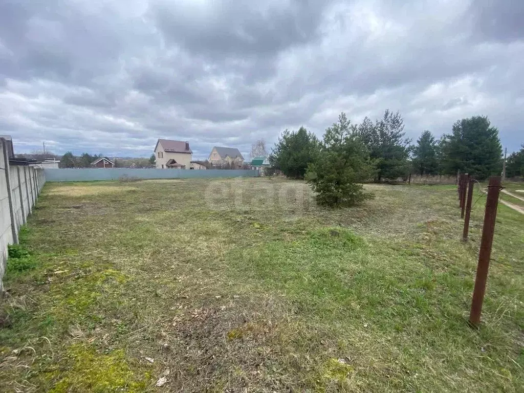 Участок в Воронежская область, Рамонский район, Новоживотинновское ... - Фото 1