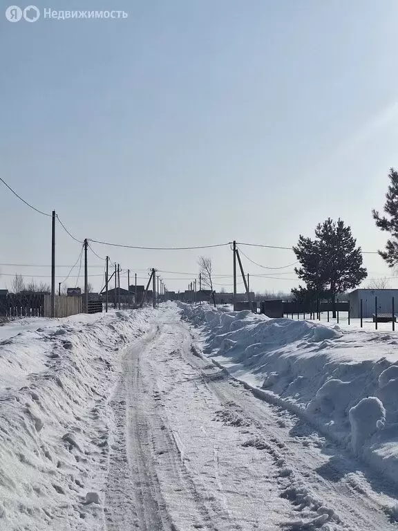 Участок в Бессоновский район, село Грабово (14 м) - Фото 1