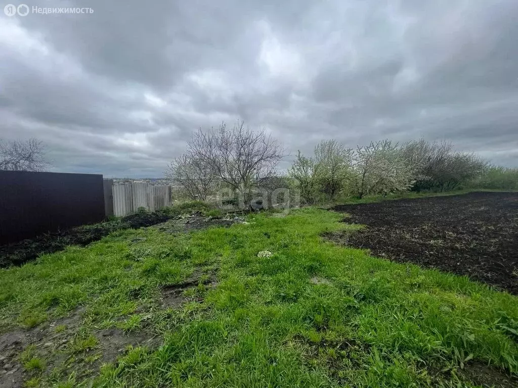 Участок в село Стрелецкое, Весенняя улица (18 м) - Фото 2