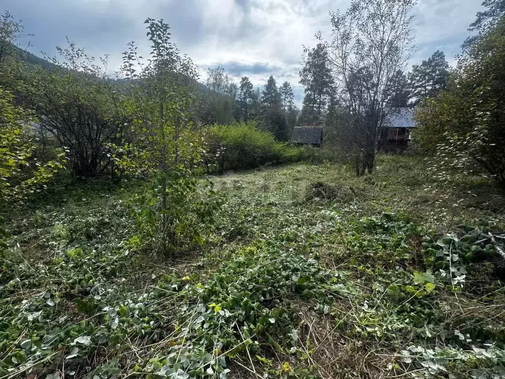 Участок в Алтай, Майминский район, с. Соузга Зеленая ул. (14.0 сот.) - Фото 1