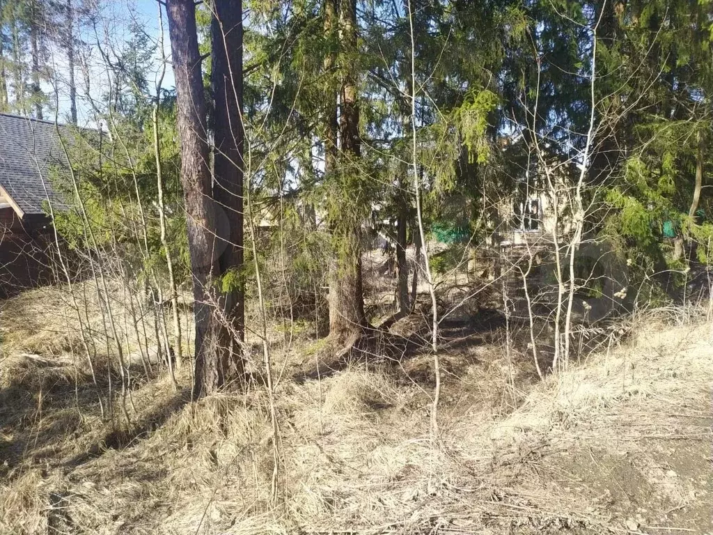 Участок 10 сот. (ИЖС) - Фото 0