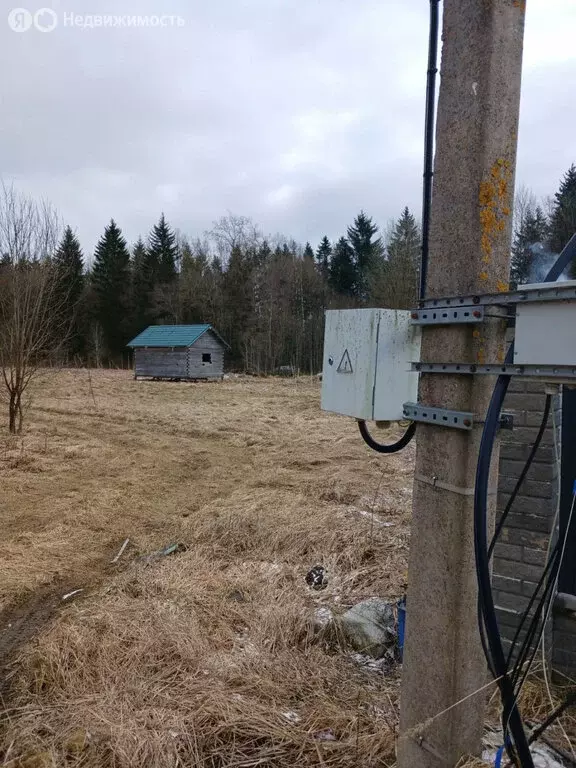 Участок в Волосово, Комсомольская улица, 68 (11 м) - Фото 2