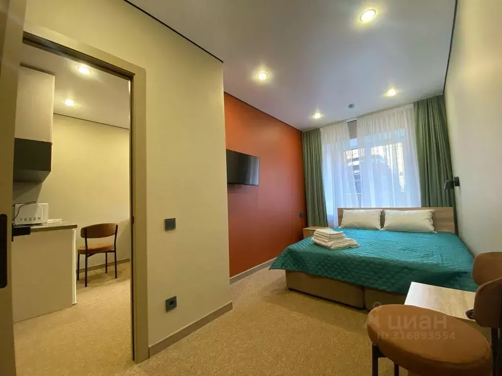 Комната Татарстан, Казань ул. Каюма Насыри, 28 (25.0 м) - Фото 0