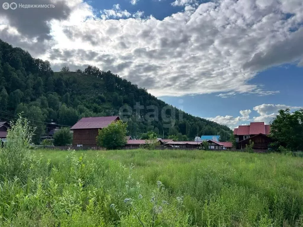 Участок в Алтайский район, Айский сельсовет, село Ая (32.2 м) - Фото 1
