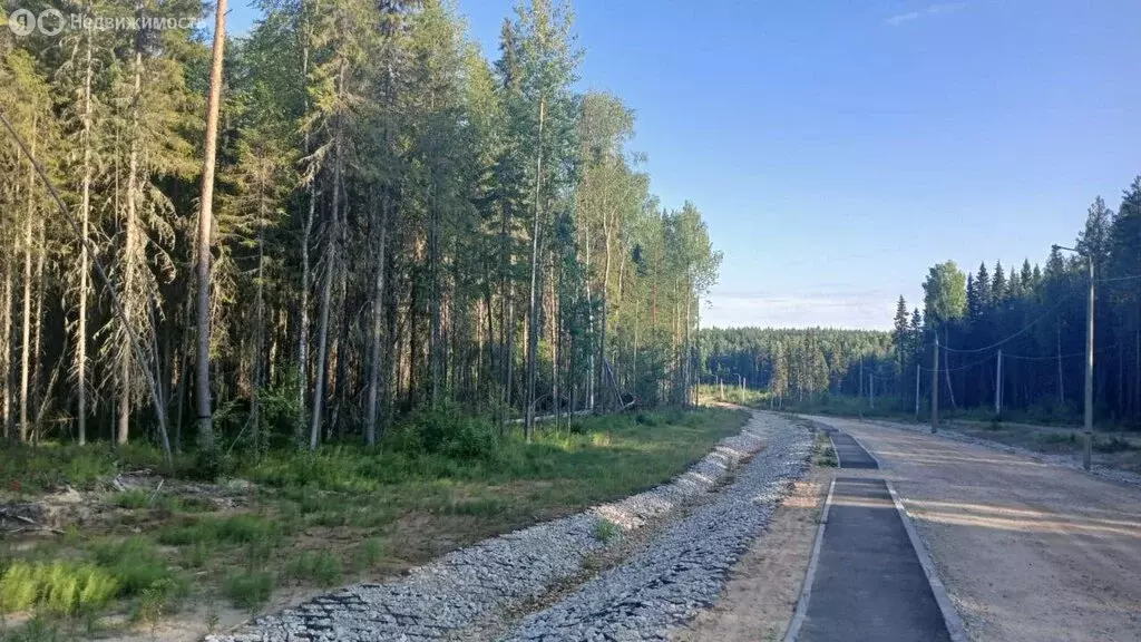 Участок в Сыктывкар, Ельная улица (15 м) - Фото 0