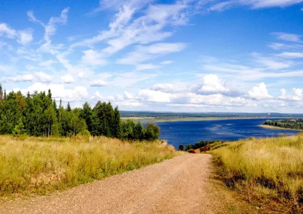 Участок в Удмуртия, Воткинский район, д. Сидоровы Горы  (5.0 сот.) - Фото 2