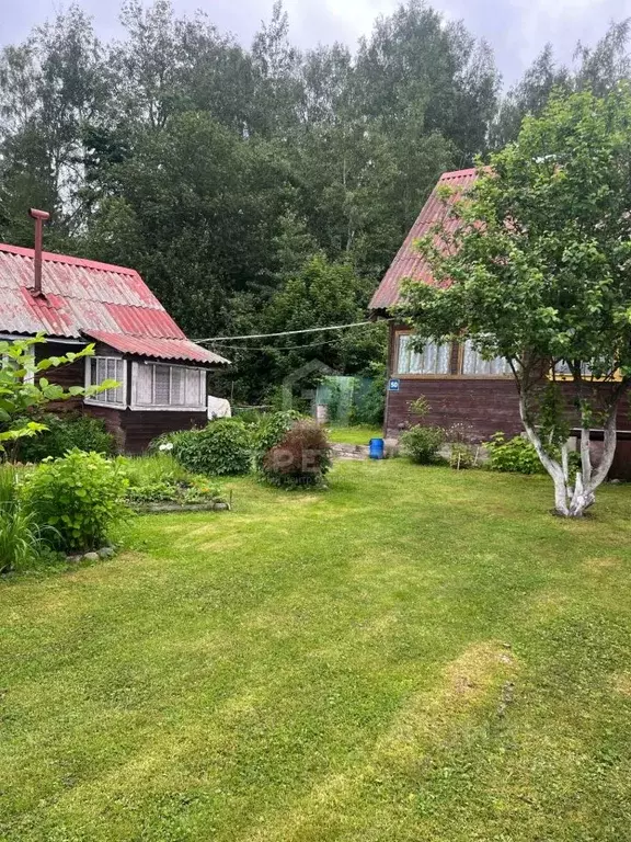 Дом в Ленинградская область, Выборгский район, Рощинское городское ... - Фото 2