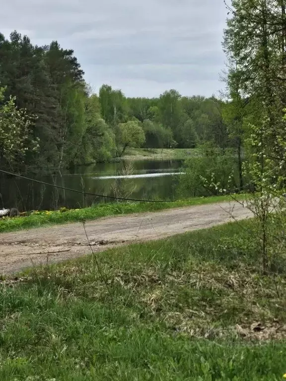 Дом в Калужская область, Кировский муниципальный округ, с. Дуброво ул. ... - Фото 2