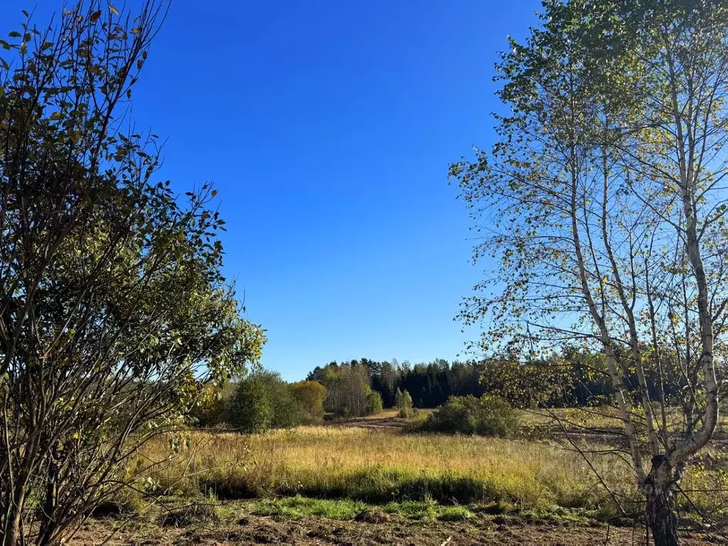 Участок в Московская область, Дмитровский муниципальный округ, Ерыково ... - Фото 2