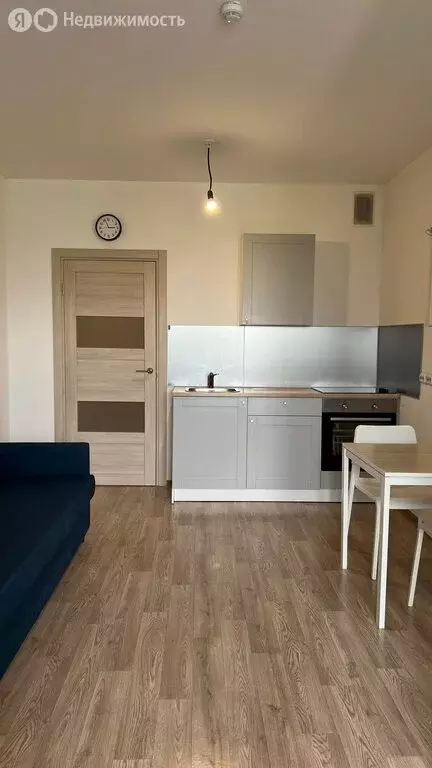 Квартира-студия: Санкт-Петербург, Васнецовский проспект, 20 (32 м) - Фото 1