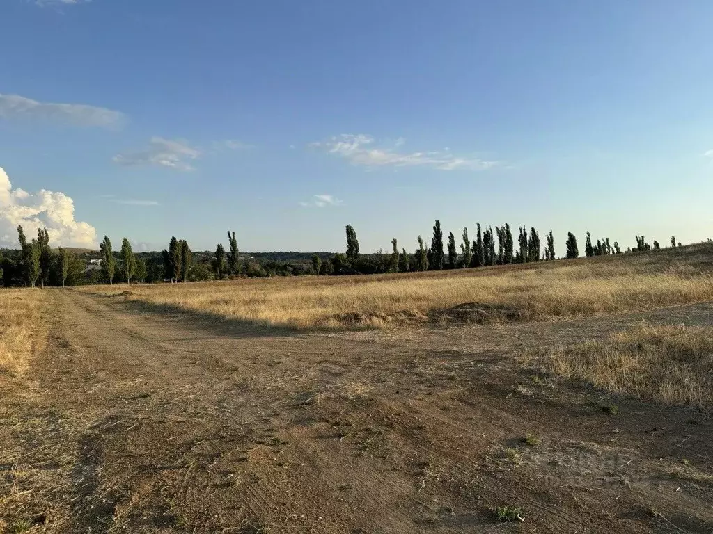 Участок в Севастополь с. Осипенко, ул. Ветеранов (4.0 сот.) - Фото 1