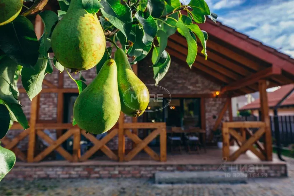 Дом в Калининградская область, Пионерский пер. Прибрежный, 12 (150 м) - Фото 1