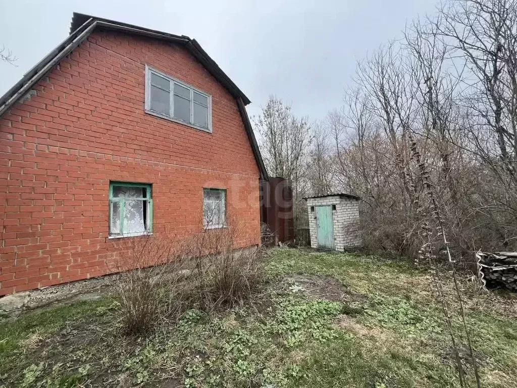 Дом в Белгородская область, Губкинский городской округ, с. Кладовое ... - Фото 1